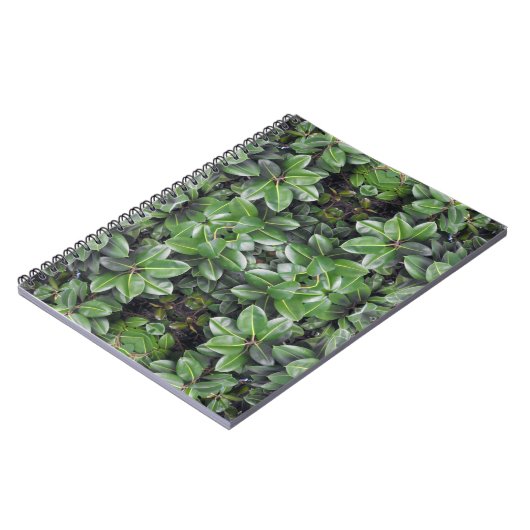 Rubber Tree Leaf Muster Notizblock (Linke Seite)