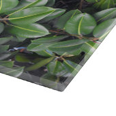 Rubber Tree Leaf Muster Schneidebrett (Ecke)