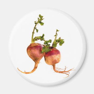 Rübe Ihre Tastebuds Magnet