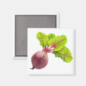 Rübe Magnet (Vorderseite/Rückseite)