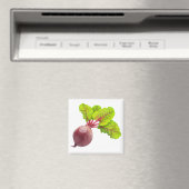 Rübe Magnet (In Situ (Geschirrspüler))