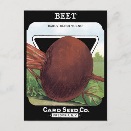 Rübe Vintages Rübenfutter Postkarte