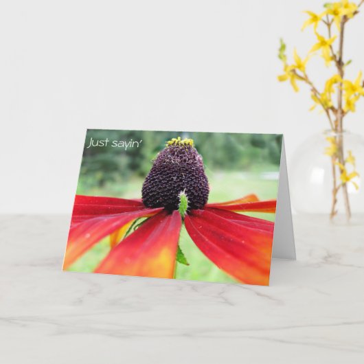 Rubeckia, nur sagen. karte (Gelbe Blume)