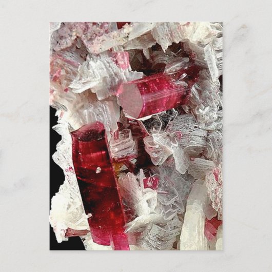 Rubellite Postkarte (Vorderseite)
