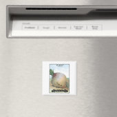 Rüben, Kartensaatunternehmen Magnet (In Situ (Geschirrspüler))