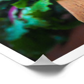 Rüben mit Blätter Poster (Ecke)