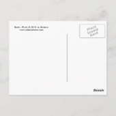 Rüben Postkarte (Rückseite)