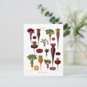 Rüben Postkarte (Stehend Vorderseite)