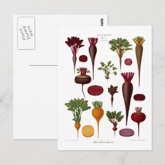 Rüben Postkarte (Vorne/Hinten)