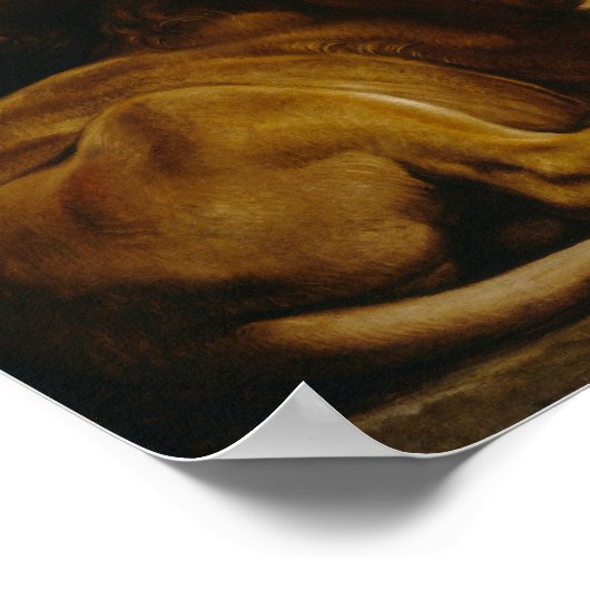 Rubens - Daniel in Lions' Den Poster (Ecke)