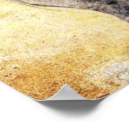 Rubens - Löwe Poster (Ecke)