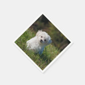 Rübenwelpen Serviette (Ecke)