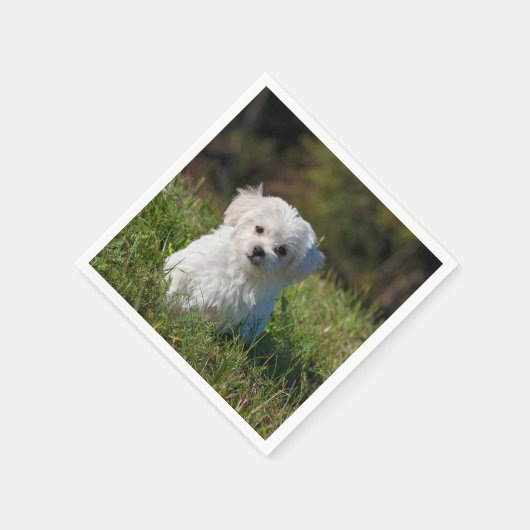 Rübenwelpen Serviette (Ecke)