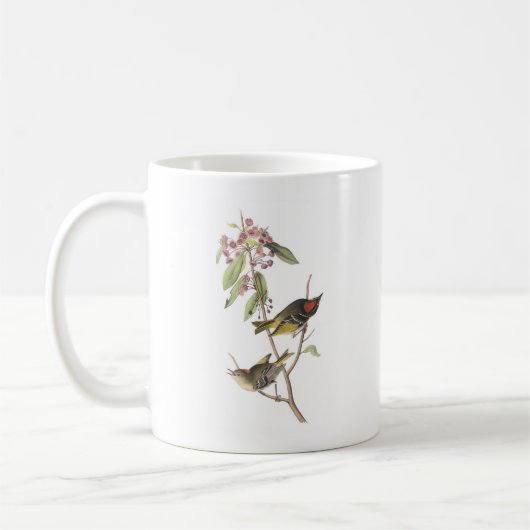 Rubin-gekrönter Kinglet durch Audubon Kaffeetasse (Links)