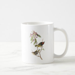 Rubin-gekrönter Kinglet durch Audubon Kaffeetasse