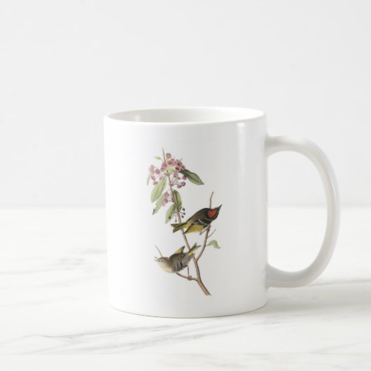 Rubin-gekrönter Kinglet durch Audubon Kaffeetasse (Rechts)