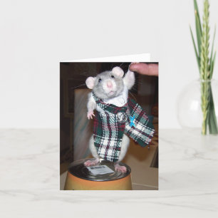 Rubin in ihrer Kilt-Karte Karte