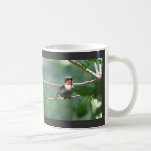 Rubin-Kehle flattert Tasse