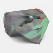 Rubin-Kehle nippt an Krawatte (Gerollt)