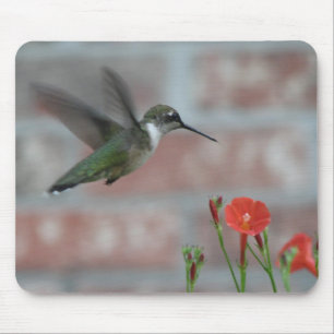 Rubin-Kehle u. Winde Mousepad