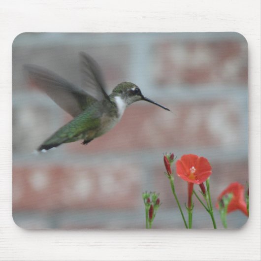 Rubin-Kehle u. Winde Mousepad (Vorne)