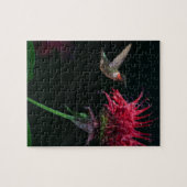 Rubin-throated Kolibri auf Bienen-Balsam Puzzle (Horizontal)