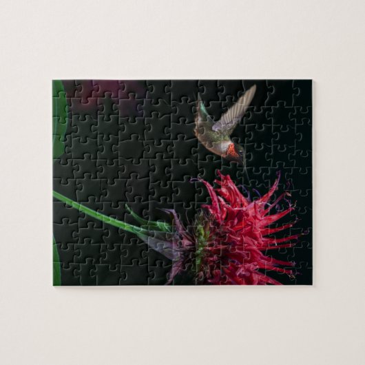 Rubin-throated Kolibri auf Bienen-Balsam Puzzle (Horizontal)