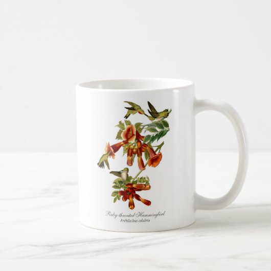 Rubin-throated Kolibri-Kaffee-Tasse Kaffeetasse (Rechts)