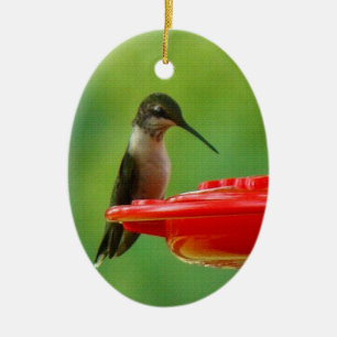 Rubin-Throated Kolibri Keramik Ornament