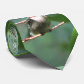 Rubin-throated Kolibri-Krawatte Krawatte (Gerollt)