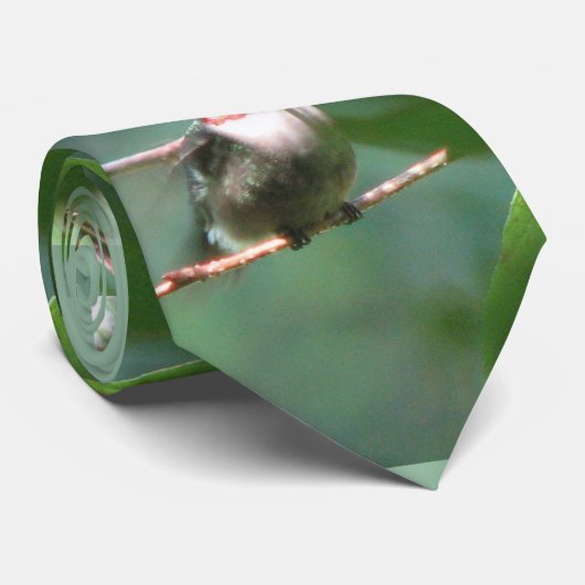 Rubin-throated Kolibri-Krawatte Krawatte (Gerollt)