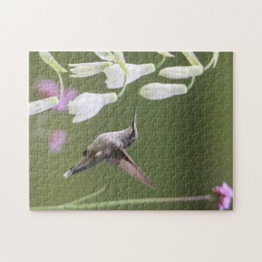 Rubin-throated Kolibri Puzzle (Horizontal)