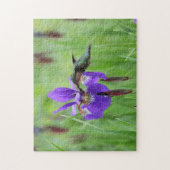 Rubin-throated Kolibri Puzzle (Vertikal)