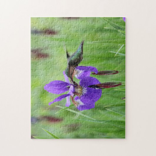 Rubin-throated Kolibri Puzzle (Vertikal)