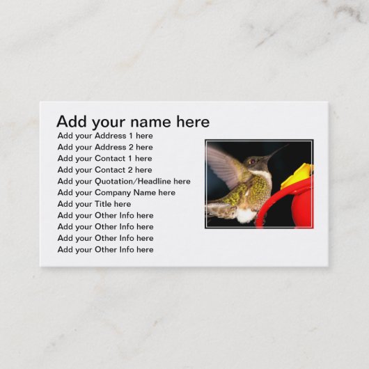 Rubin-Throated Kolibri Visitenkarte (Vorderseite)