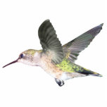 Rubin-throated Verzierung des Kolibri-2x3 Fotoskulptur Ornament<br><div class="desc">Eine schöne Rubin-throated Kolibriverzierung,  zum Ihres Weihnachtsbaums,  Ihres Rückspiegels oder sogar Ihres Halses zu schmücken.  Tonnen Möglichkeiten,  zum Ihres Kolibristolzes zu zeigen.</div>