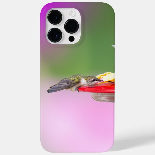 Rubinkehlkolibri Case-Mate iPhone hülle (Rückseite)
