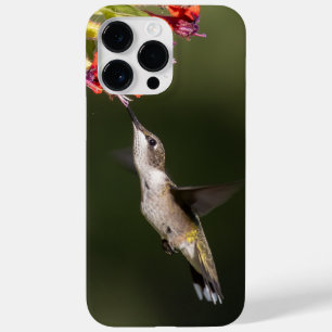 Rubinkehlkolibri Case-Mate iPhone 14 pro max hülle