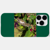 Rubinkehlkolibri Case-Mate iPhone hülle (Rückseite (Horizontal))