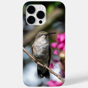 Rubinkehlkolibri Case-Mate iPhone 14 pro max hülle