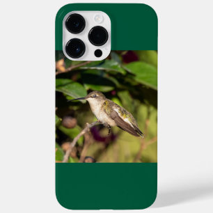 Rubinkehlkolibri Case-Mate iPhone 14 pro max hülle