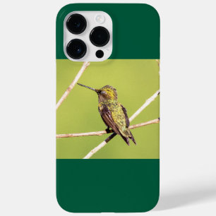 Rubinkehlkolibri Case-Mate iPhone 14 pro max hülle