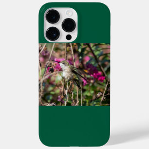 Rubinkehlkolibri Case-Mate iPhone 14 pro max hülle