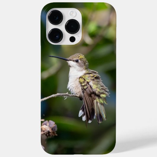 Rubinkehlkolibri Case-Mate iPhone hülle (Rückseite)