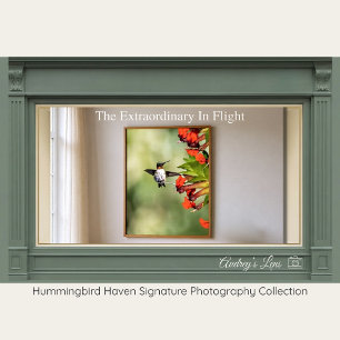 Rubinkehlkolibri-Fine-Art-Fotografie Poster