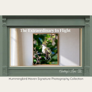 Rubinkehlkolibri-Fine-Art-Fotografie  Poster