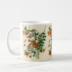 Rubinkehlkolibri-Gemälde von Audubon Kaffeetasse