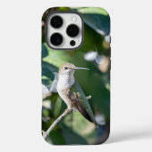 Rubinkehlkolibri-Handyhülle Muttertag Case-Mate iPhone Hülle (Rückseite)