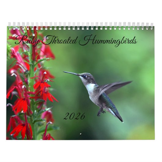 Rubinkehlkolibri-Kalender 2026 Kalender (Titelbild)
