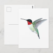 Rubinkehlkolibri Postkarte (Vorne/Hinten)